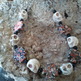 2012-07-21_2008.26.54_small