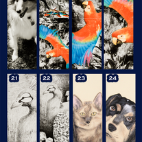 Bookmark | (individual)