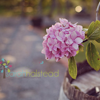 Storedsc_1196_medium