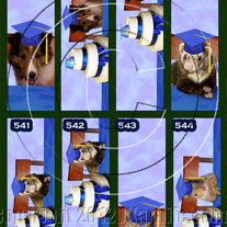 Bookmark | (individual)
