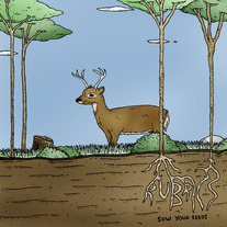 Rubrics - Sow Your Seeds 7"