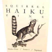 Squirrel Haiku Zine