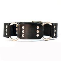Cratus ~ 2 Inch Width
