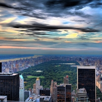 Central_park_storenvy_medium