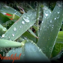 Lifeisbeautifulcardtwoproof_medium