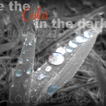 See the color in the dark 5x7 print - 2