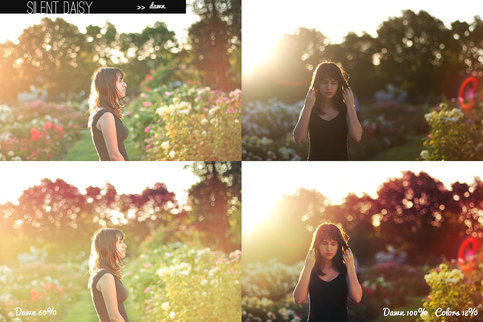 Dawn Photoshop Action