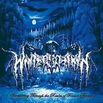 Winter's Dawn - Wandering Through The Realm Of Frosted Beauty 