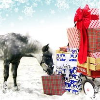 Xmascarddraft003_medium