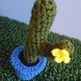 Kaktus4_small