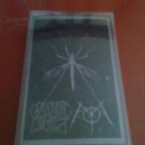 GORGONIZED DORKS / xA O Ax 'split cs'