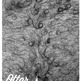2013 Otterj Calendar - Thumbnail 1