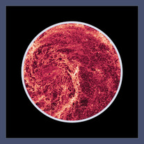 M51 Infrared