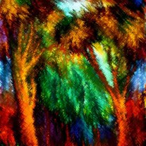 net - digital art