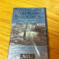 The Places That Scare You: Guide to Fearlessness In Difficult Times by Pema Chödrön