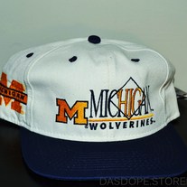 Hats_michigan_medium