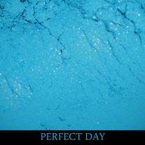PERFECT DAY