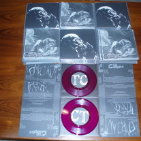 THE COMMUNION / COMPOUND TERROR 7"