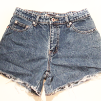 Blue Asphalt denim high waist shorts