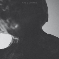 Planks / Lentic Waters Split LP [IFB]
