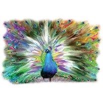 Peacockpastel_medium
