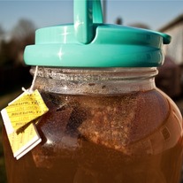 Sun_tea_medium