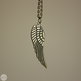 Cwing3_small