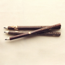 Img_3436_sq_medium