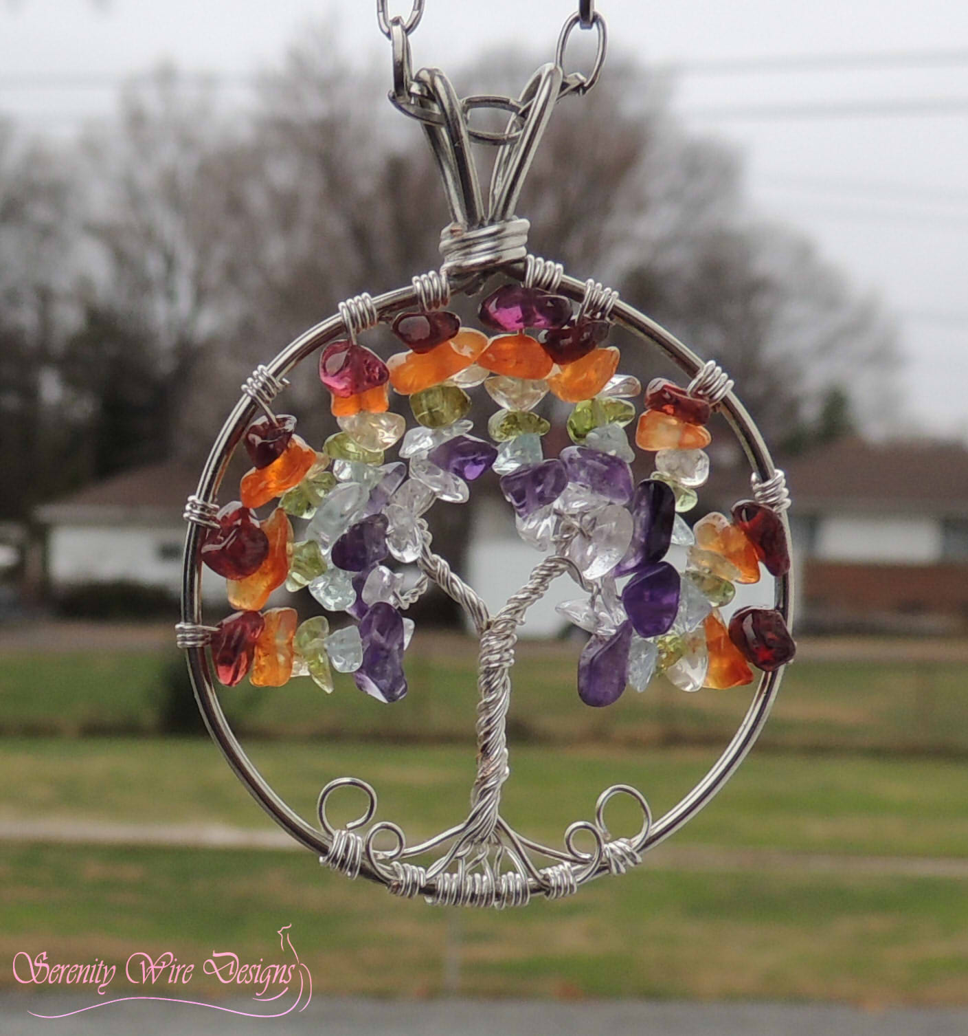 gay a telecharger from Julio gay tree