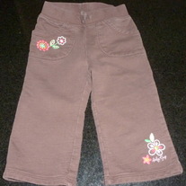Brown Pants with Flowers-Baby Gap Size 12-18 Months