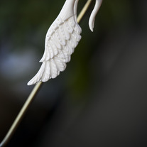 4g Feathers - Bone Earrings