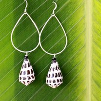 Hawaiian Cone Shell