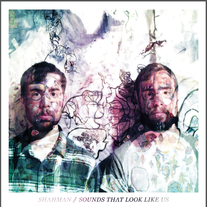 Shahman - Sounds That Look Like Us 12"
