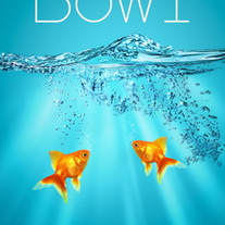 Fish Bowl