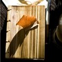 Lettepressed Small Coptic Cedar Wood Journal: - Thumbnail 2