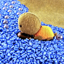 Oceanic_20creatures_20014_medium