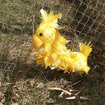 Chocobo_2001_medium