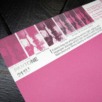 Vintage PANTONE® Poster - 211U