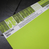 Vintage PANTONE® Poster - 389U