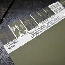 Vintage PANTONE® Poster - 5815U