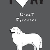 Great Pyrenees, 5x7 print