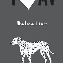 Dalmatian, 5x7 print