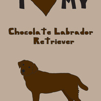 Chocolate Labrador Retriever, 5x7 print
