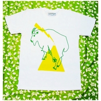 Lighteningandthemountaingoatmountain_fl_medium
