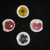 Magnet Set - Bold Flowers