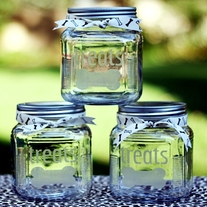 Treatjar1a_medium