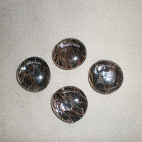 Magnet Set - Tangly Twigs