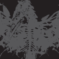 Amenramassii_medium