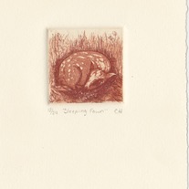 Img_0003_medium
