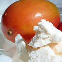 Mango_butter_medium